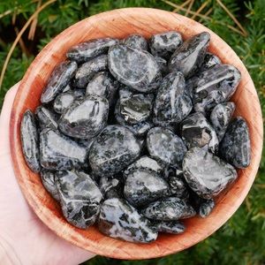 (2) Tumbled Indigo Gabbro Stones
